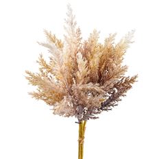 PAMPAS GRASS BUNDLE X3 14" BEIGE
