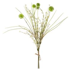 THISTLE GRASS BUNDLE 20.5" GREEN