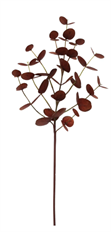 EUCALYPTUS 33.5" BROWN