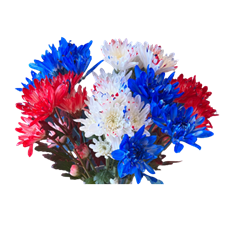 CUPCAKE POM NOVELTY 6-STEM