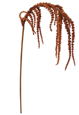 AMARANTHUS HANGING SPRAY 39"