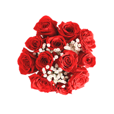 ROSE BQT 12ST FILLER