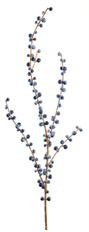BERRY SPRAY 28" BLUE