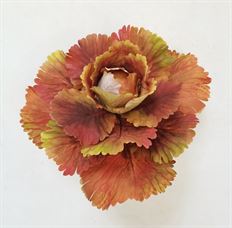 CABBAGE STEM 10"AUTUMN