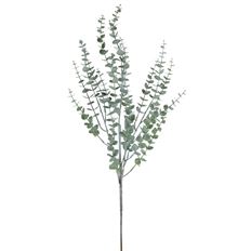 EUCALYPTUS 35" GREEN