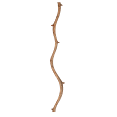 CURLY VINE 60" NATURAL