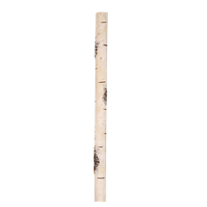 BIRCH STICK FAUX 34" WHITE