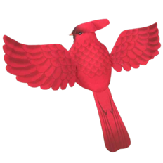 CARDINAL 8"X11.5" FLYING W/CLIP