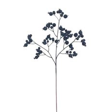 BERRY SPRAY WISPY 25" BLUE