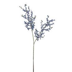 BERRY BRANCH WR 34" BLUE