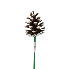 PINECONE AUSTRICA PICK TIP 100/CS