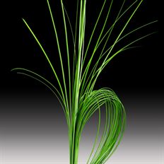 STEEL GRASS