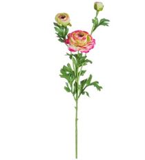 RANUNCULUS SPRAY 25" BEAUTY