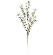 WAXFLOWER SPRAY 33.5" WHITE