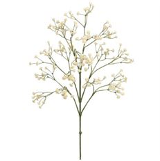 GYPSOPHILA SPRAY 26" CREAM