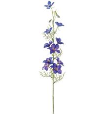 DELPHINIUM SPRAY 35" BLUE
