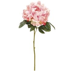 PEONY SPRAY 23" BEAUTY PINK