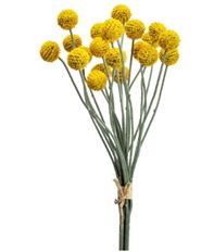 BILLY BALL BUNDLE 18" YELLOW