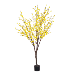 FORSYTHIA TREE 6" YELLOW
