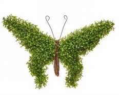 BOXWOOD WALL BUTTERFLY 20" GR