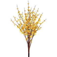 FORSYTHIA BUSH X 5 34" YELLOW