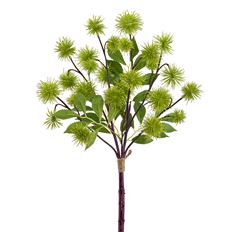 GLOBE THISTLE BUNDLE 18.5" GREEN