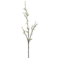 PUSSY WILLOW STEM 36" GREY