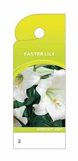 CARE TAG EASTER LILY 100/PK