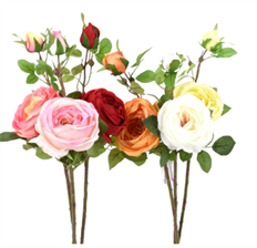 CABBAGE ROSE W/BUD 24" ASSORTED