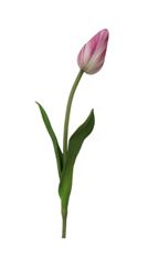 TULIP POINTED 15.5" MAUVE