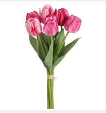 TULIP BUNDLE X6 19" BT/PK
