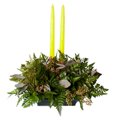 SPRING 2 CANDLE START ARR