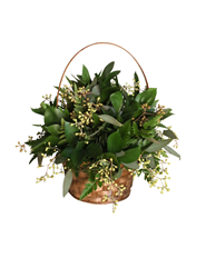 6" DLX BASKET STARTER ARR.