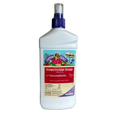 INSECTICIDAL SOAP 12 OZ