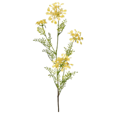FIELD YARROW X4 38" YELLOW