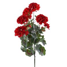 GERANIUM BUSH UV 24" RED