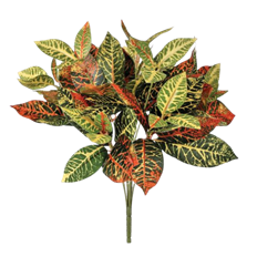 CROTON BUSH X8 UV 14" MULTI