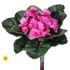 AFRICAN VIOLET BUSH 8" UV PINK