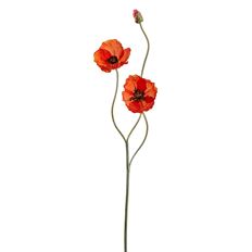 POPPY SPRAY 29" ORANGE