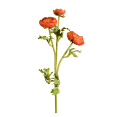 RANUNCULUS X 3" 26.5" ORANGE