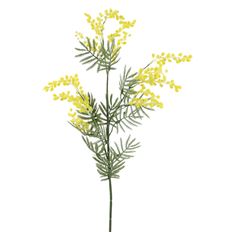 ACACIA SPRAY 34" YELLOW