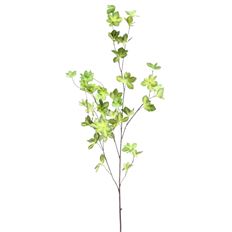 STAR IVY BRANCH 45" TT GREEN