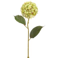 HYDRANGEA SPRAY SMALL 23" GREEN