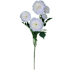 RANUNCULUS BUNDLE 24.5" WHITE
