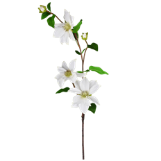 CLEMATIS SPRAY 36" WHITE