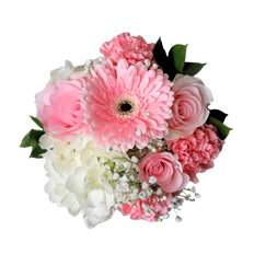 AMAZING  BQT.PREBOOK