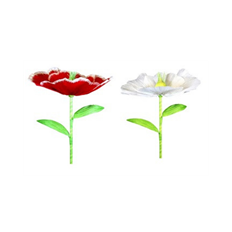 POPPY GIANT 60" ASST COLORS