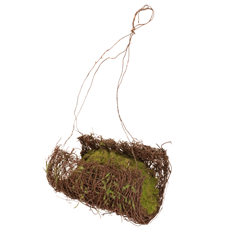 HANGING ORCHID PLANTER 10"X7"
