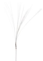 ONION GRASS SILVER X12 PKG