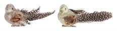 BIRD CHICKADEE 12/PK NATURAL